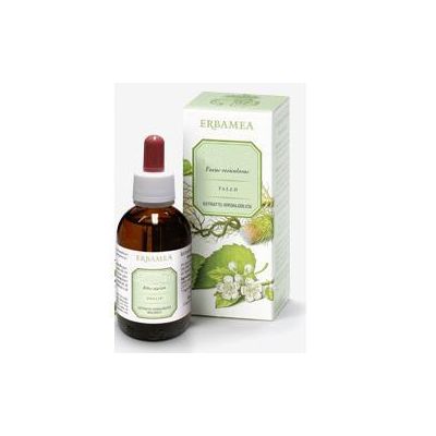 SALVIA SOMMITA' EI 50ML