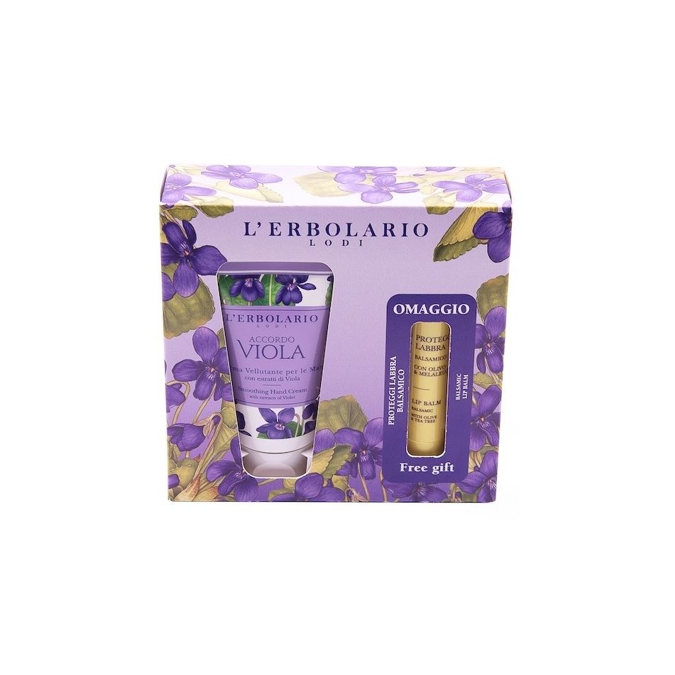accordo-viola-cr-vel-man-plus-omagg