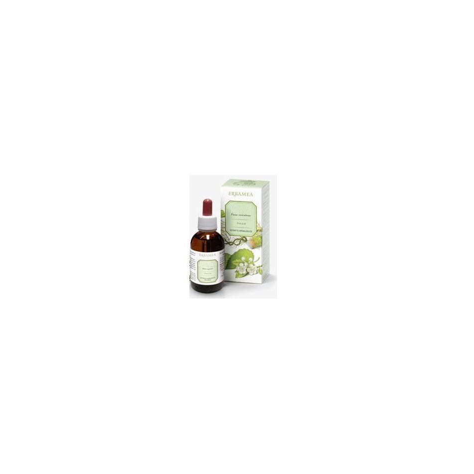ginkgo-biloba-foglie-ei-50ml