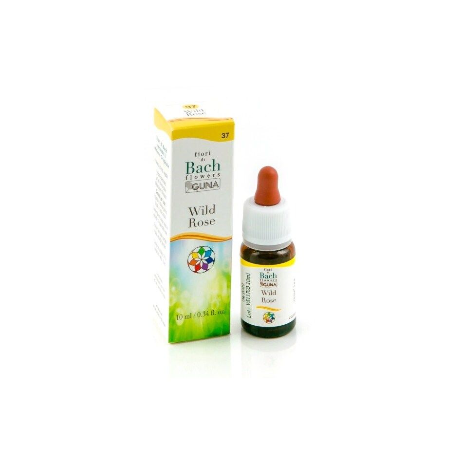 wild-rose-gun-gtt-10ml