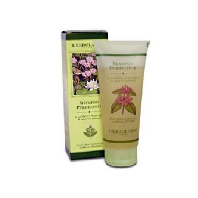 SHAMPOO PURIFICANTE MENTA/VIT
