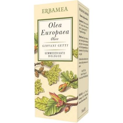 OLEA EUROPEA OLIVO BIO 50ML