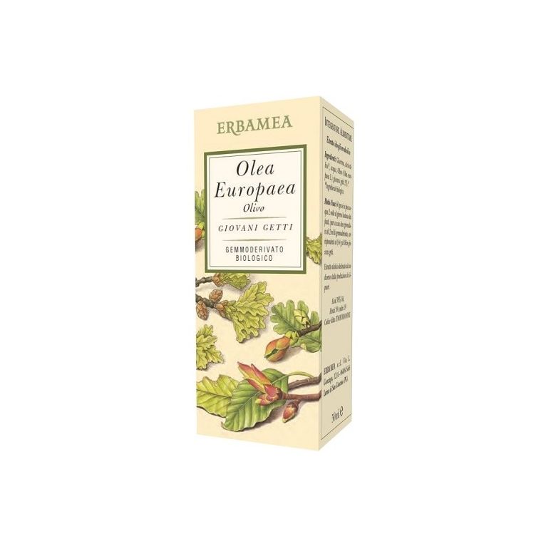 olea europea olivo bio 50ml